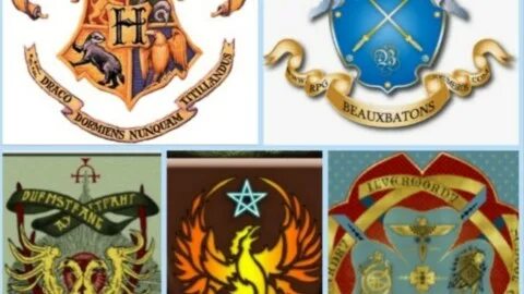 Дурмстранг факультеты