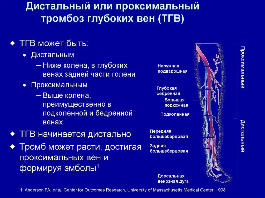 Артериальный тромбоз нижних конечностей клиника. Тромб в венах нижних конечностей. Поверхностный тромбоз артерий. Тромбоз определение