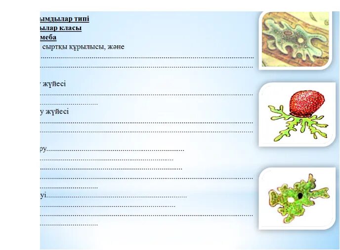 Тест тапсырмалары 8 сынып. Биологиядан тест. Биологиядан карточка. Биологиядан 10 класс тест. Карточка биологиядан 10 класс.