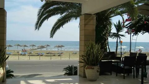 Flamingo beach отзывы
