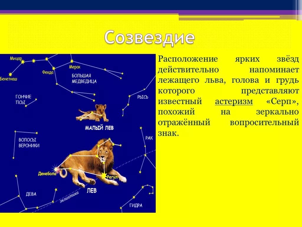 Сказка о созвездиях весеннего неба короткая. Созвездие Лев весной рассказ. Созвездие малый Лев рассказ. Рассказ о созвездии весеннего неба 2 класс окружающий мир Лев. Созвездие Льва весной рассказ 2 класс.