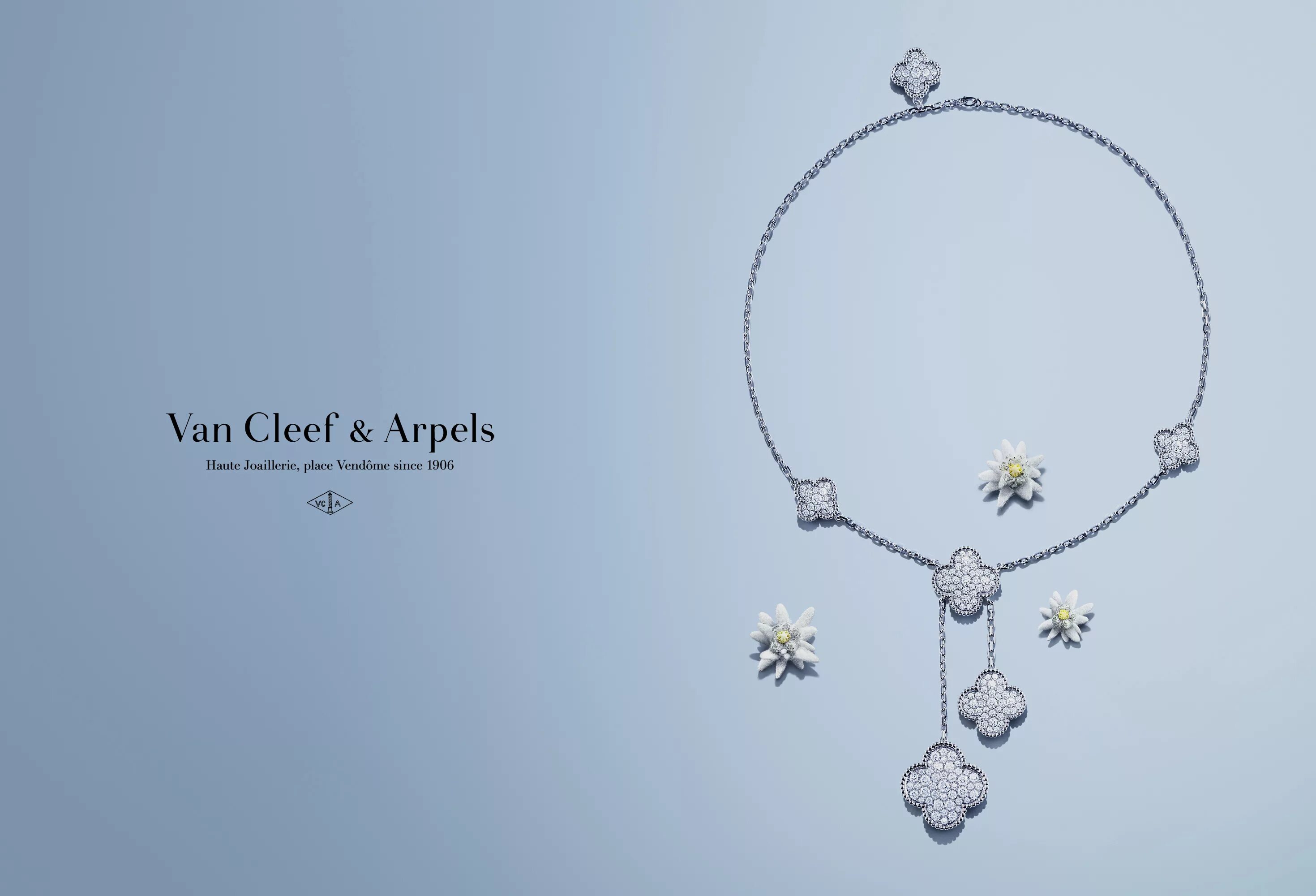Бренд ван клиф. Van Cleef & Arpels: бренд,. Бижутерия van Cleef & Arpels реклама. Van Cleef Arpels одежда. Van Cleef Arpels логотип бренда.