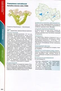 Книга новосибирская область