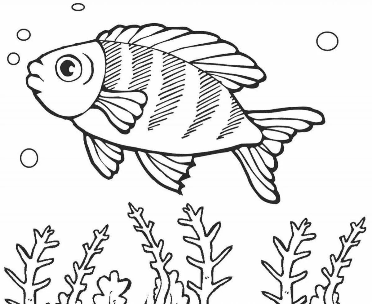 Раскраски рыбки для детей 3 4. Рыба раскраска. Раскраска рыбка. Рыбка раскраска для детей. Рыба раскраска для детей.