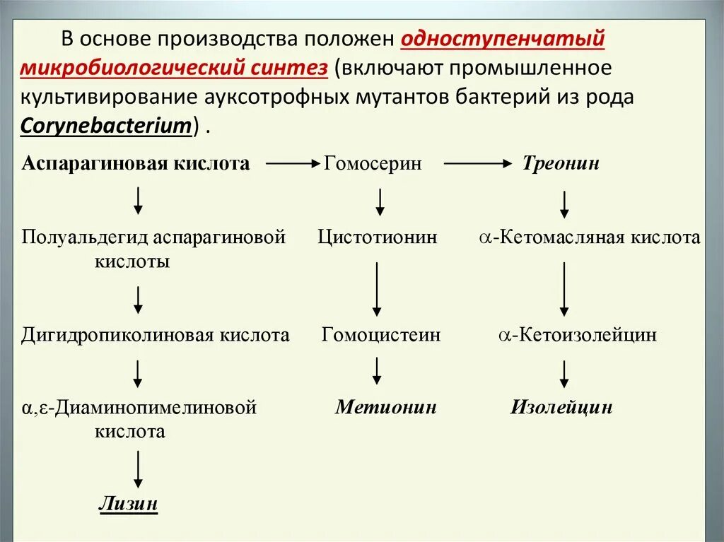 Метионин производство технологическая схема. Микробиологический Синтез аминокислот. Микробиологический Синтез схема. Микробиологический Синтез общая схема. Последовательность этапов создания нового штамма бактерий