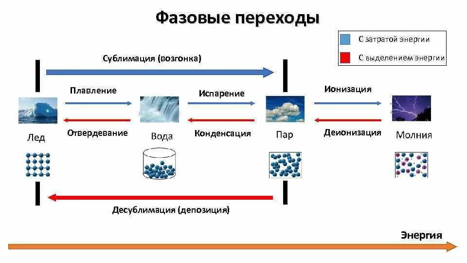 Агрегатные состояния вещества фазовые переходы 10 класс физика. Агрегатные состояния вещества и фазовые переходы таблица. Фазовые переходы схема 8 класс. Фазовые переходы физика схема. При испарении воды энергия