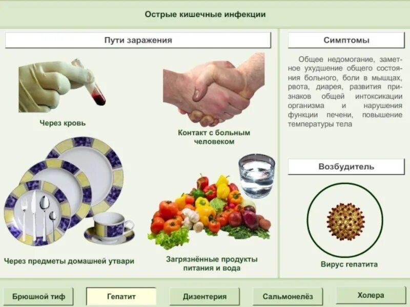 Кишечная инфекция распространение