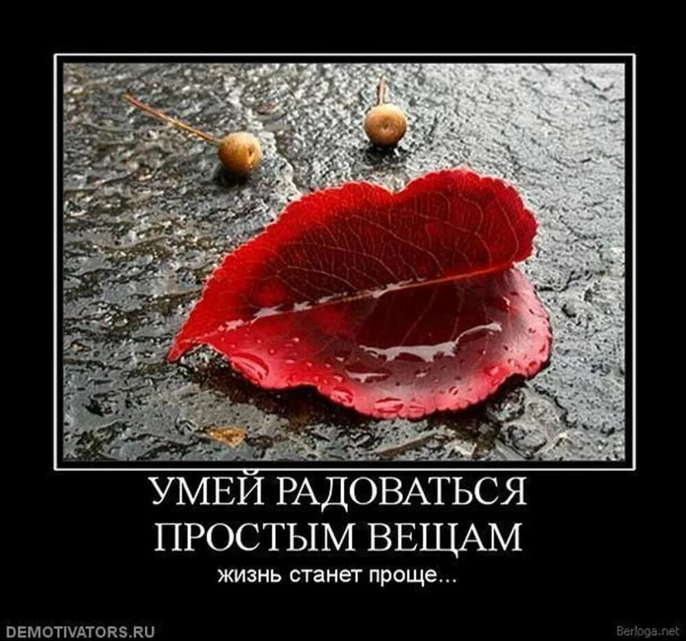 Некоторые вещи