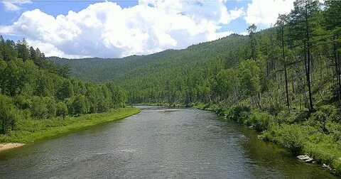 Село чикой