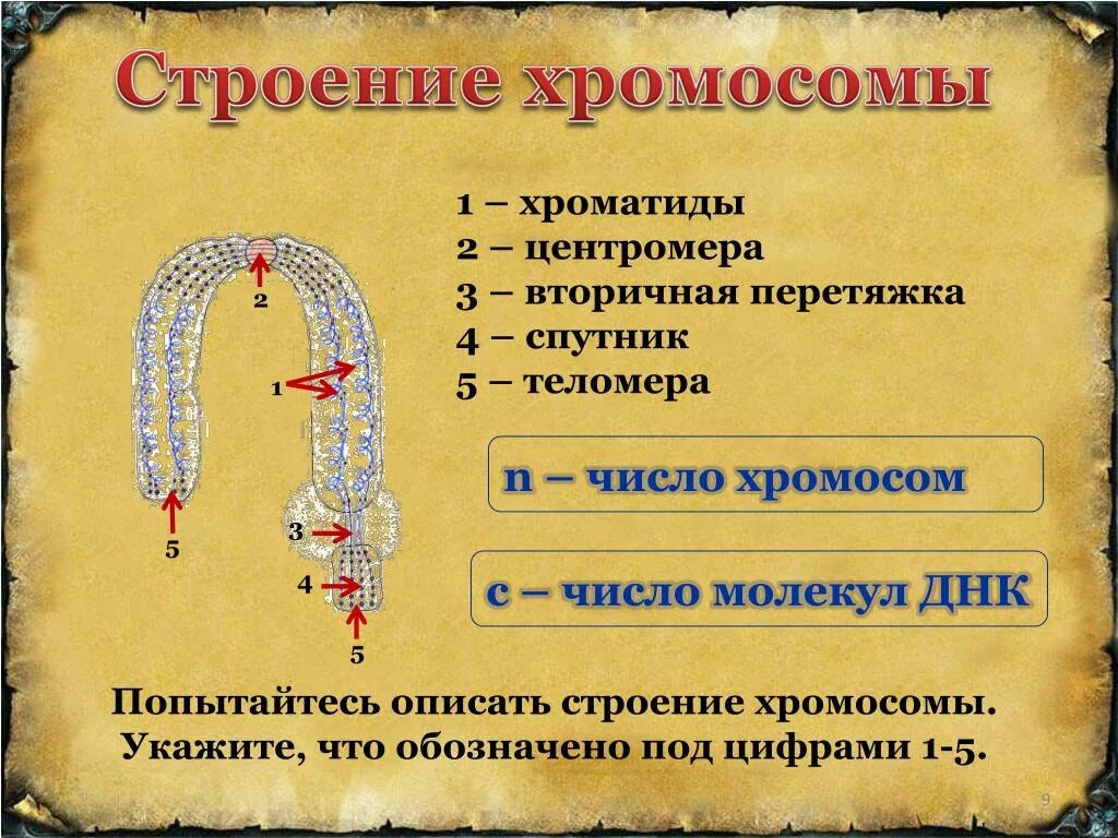 Вторичное число