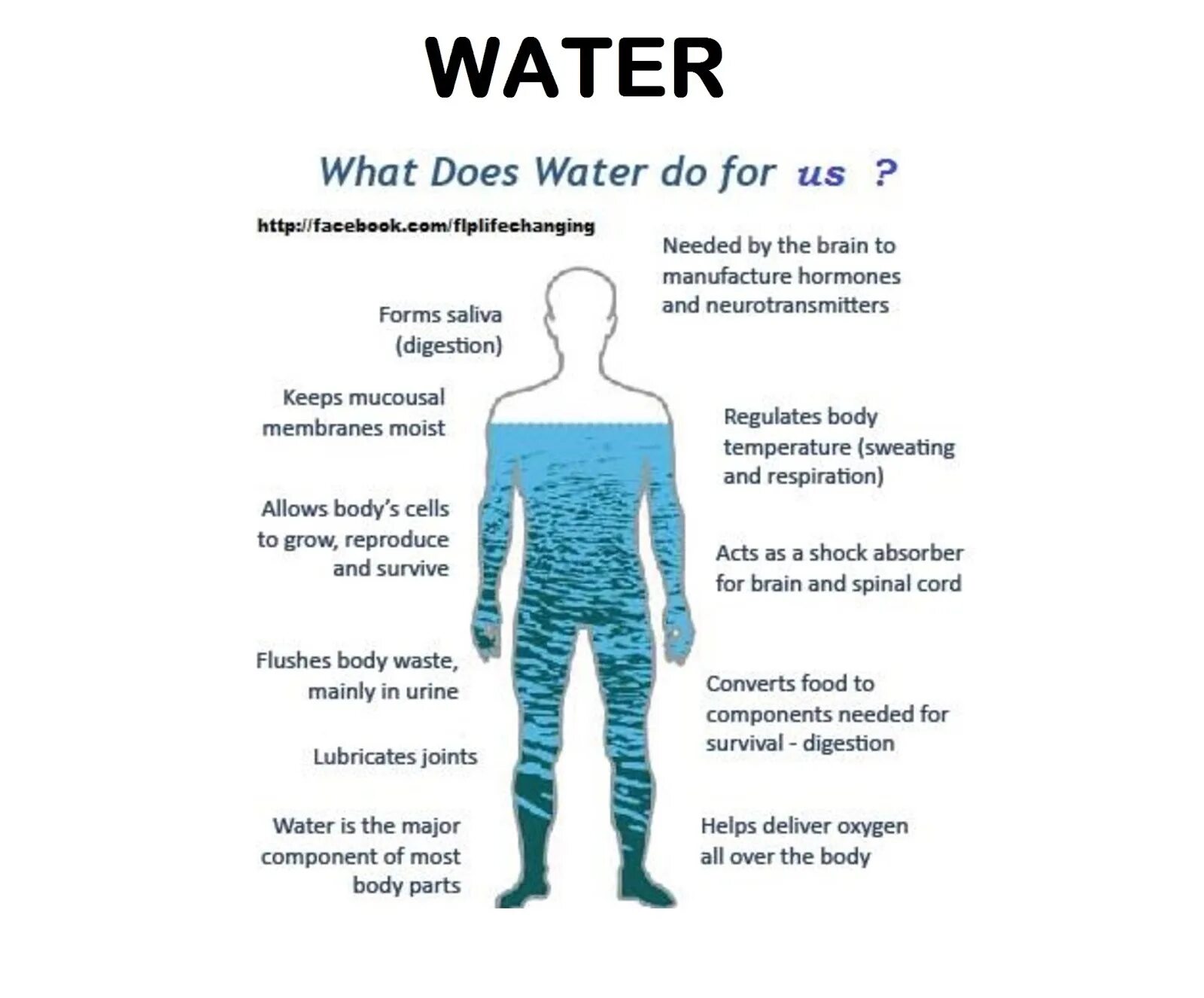 What does average do. Лексика на англ для описания внешности. Пирамида тестирования. Duration skdpu. Средний рост человека.