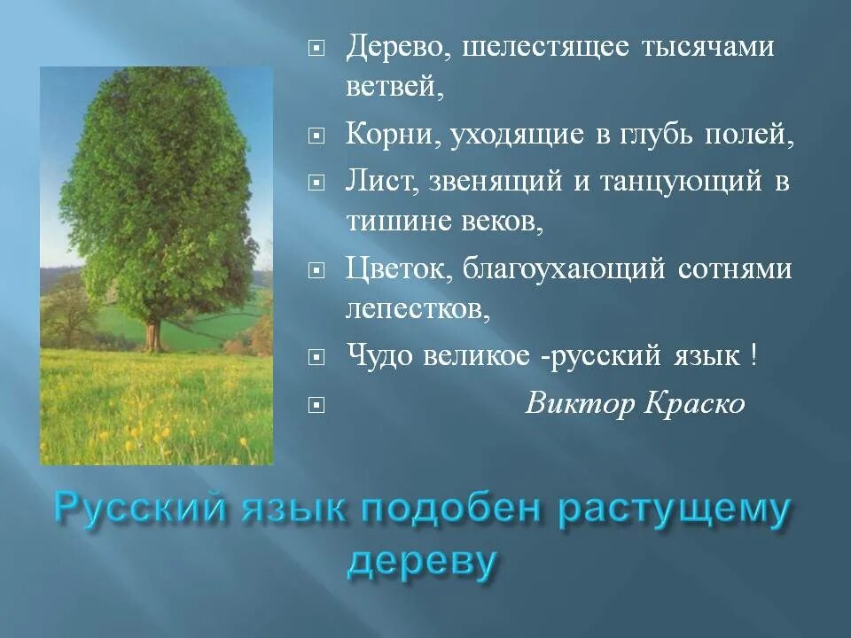 Рассказ деревья растут для всех. Синквейн на тему дерево. Синквейн храм. Синквейн к слову дерево. Синквейн дерево составить.