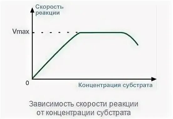 Зависимость активности от концентрации. Зависимость скорости реакции от концентрации субстрата. Концентрация субстрата. Зависимость активности ферментов от концентрации фермента. Зависимость от концентрации фермента.