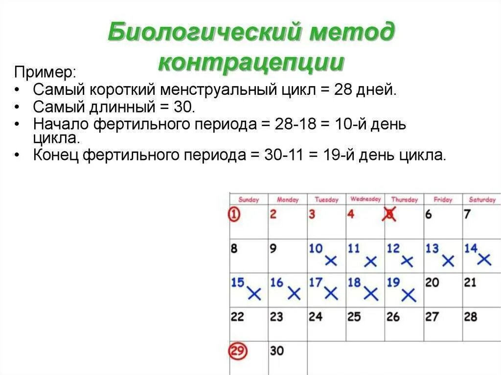 Правильный цикл. Цикл менструационного цикла 30 дней. Методы контрацепции календарный. Биологический метод предохранения. Календарный способ предохранения.