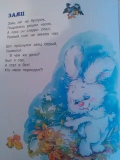 Заяц стих
