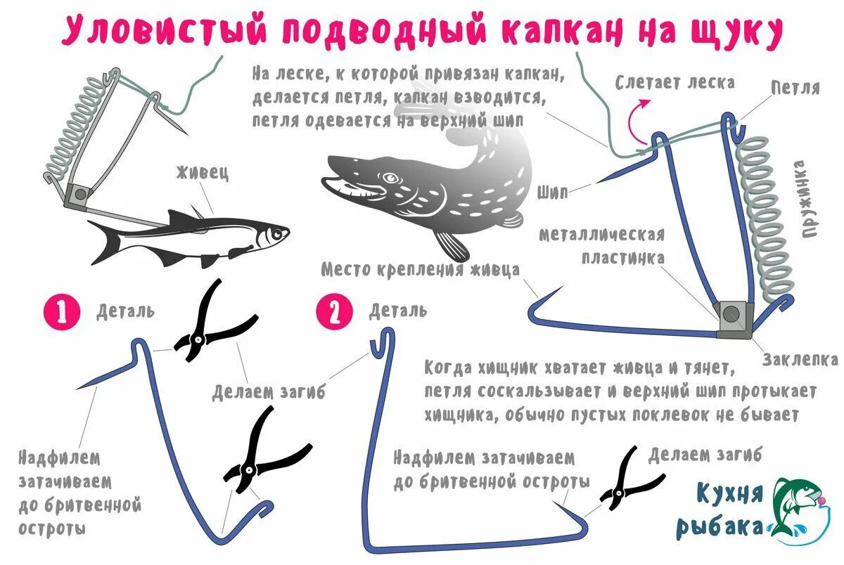 Инструкция как ловить рыбу 7 класс