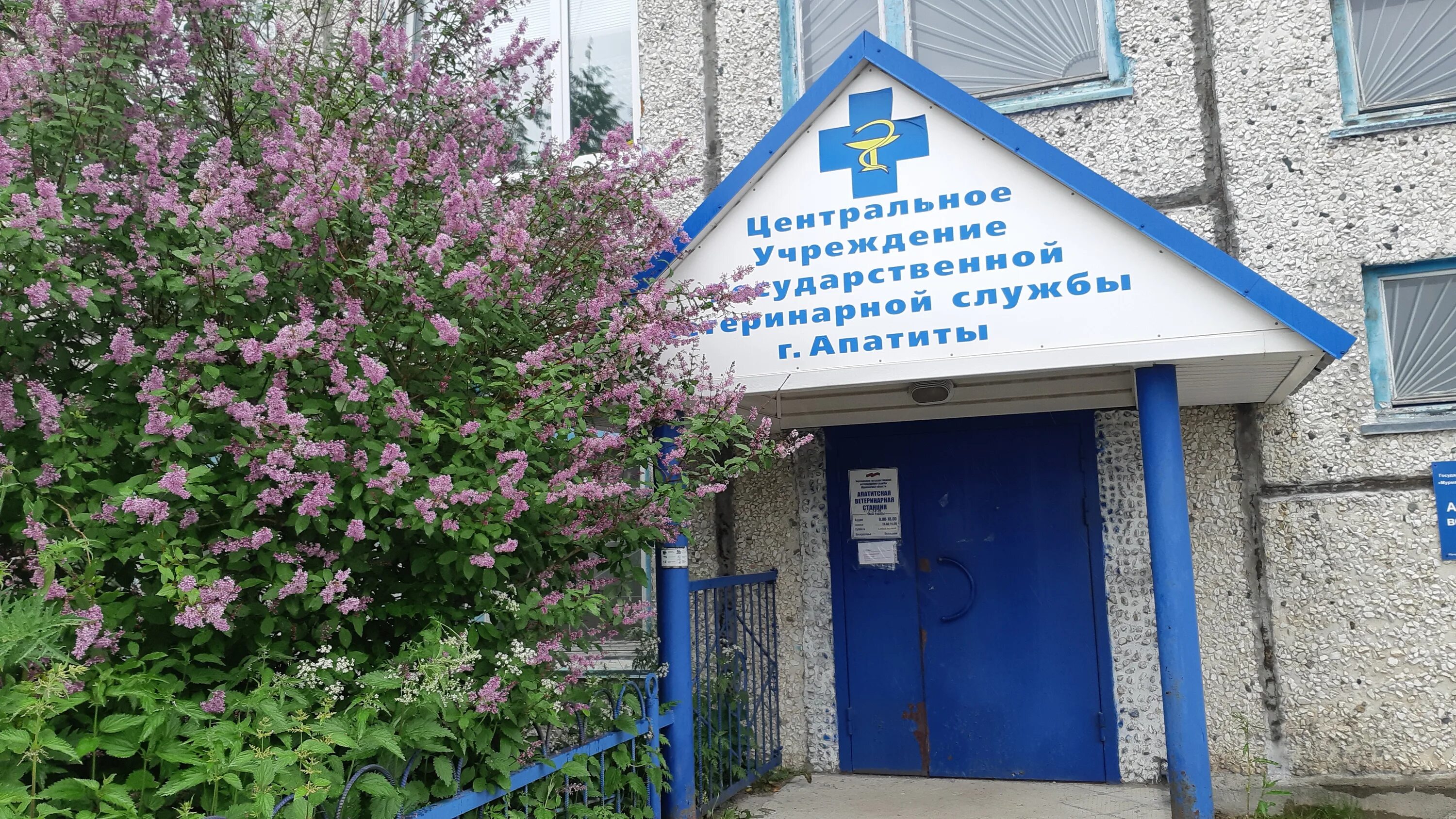 ростовская станция по борьбе с болезнями животных. станция по борьбе с болезнями животных. передвижной автомобиль ветеринарной станции. областная станция по животных. ветеринарная клиника кугеси.