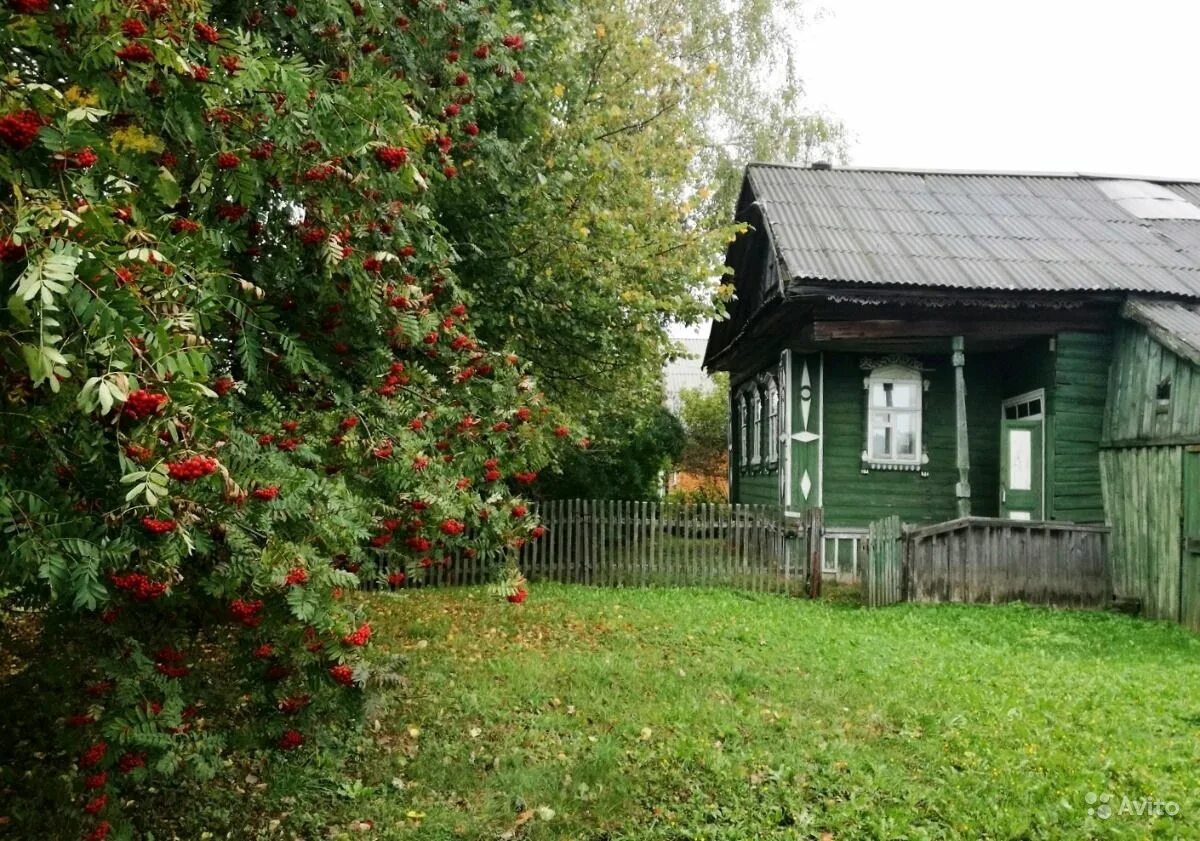 Дача летом в деревне. Деревенский дом с участком. деревенский домик с землей. старый домик с участком. дом в деревне с садом.