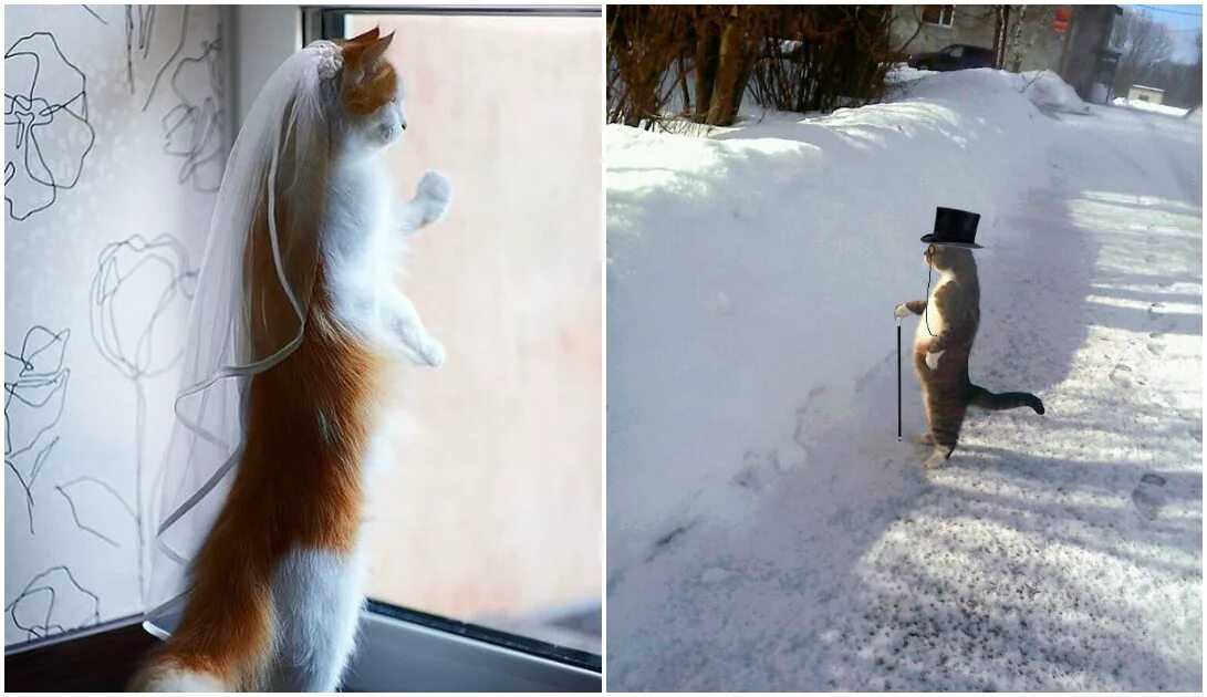 Совершенно не готов. Кот ждет весну.