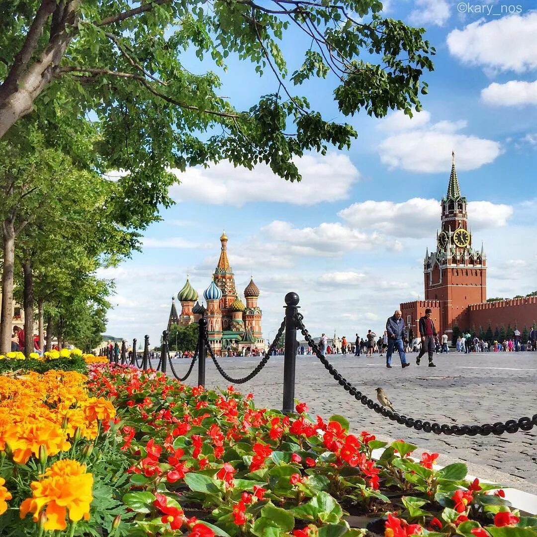 весна в москве. летом в москве пройдет. кремль парк зарядье. гум цветы красная площадь. цветы на красной площади.