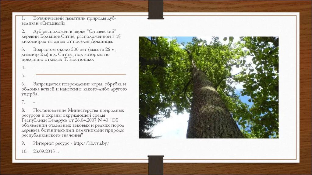 Ботанические памятники природы. Памятник природы «дуб Киреметь». Дуб великан. Биологические памятники природы. Памятник природного значения