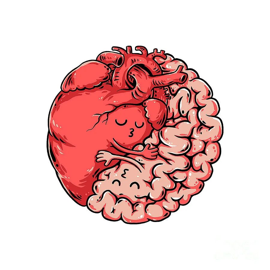 Heart and brain