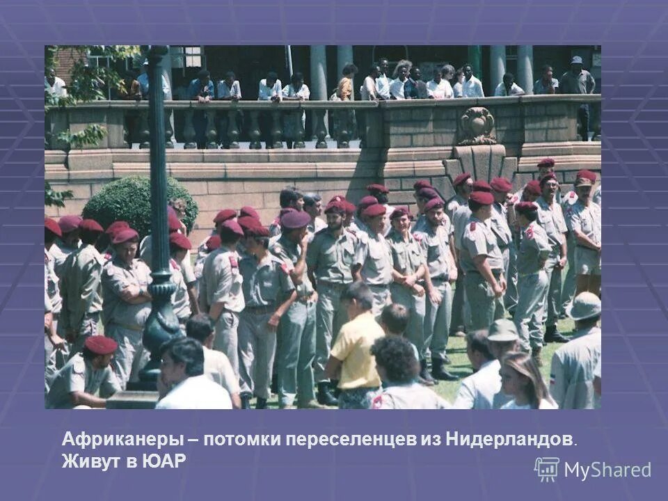 что такое креолами в истории кратко. буры потомки голландских колонистов. потомки переселенцев из европы в северной америке. потомки переселенцев. потомки буров в африке.