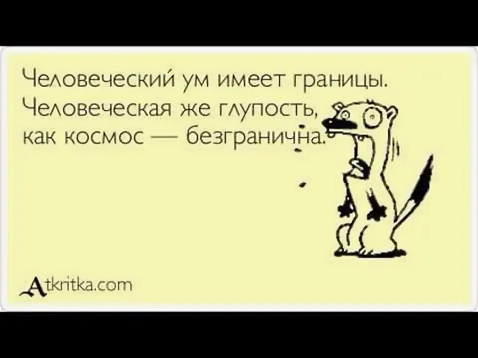 Не устает удивлять. Человеческая глупость безгранична. Цитаты о глупости человеческой. Фразы о человеческой глупости. Афоризмы про глупость смешные.