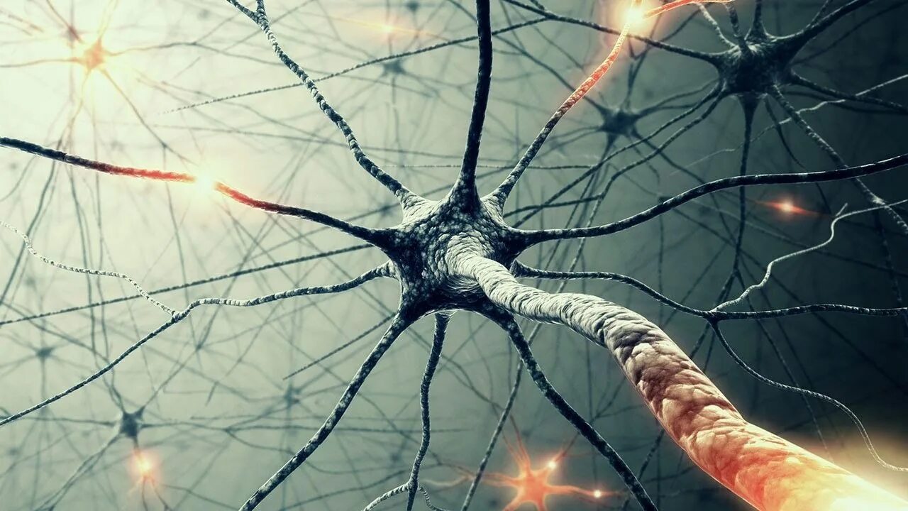 Разрушенная сеть. Нейроны. Нейрон красивый. Нейроны головного мозга. Мозг в паутине.
