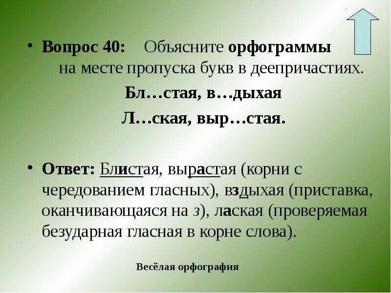 Объяснение вопрос ответ