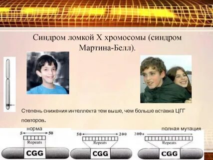 Человек с 1 хромосомой