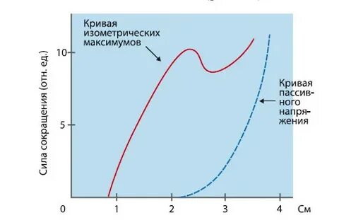 Пассивное напряжение