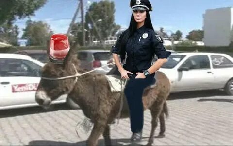 Videolar 2020