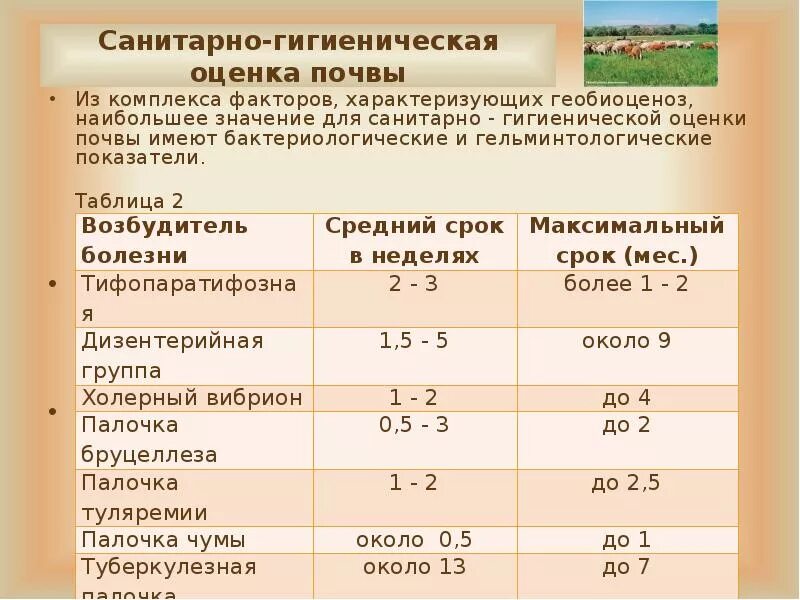 Определение гигиенической оценки. Санитарно-гигиенические показатели загрязнения почвы. Санитарно-гигиеническая оценка почвы. Показатели загрязнения почвы гигиена. Гигиеническая оценка почвы.