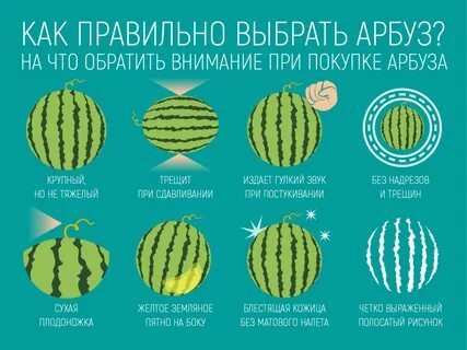 Выбор дыни