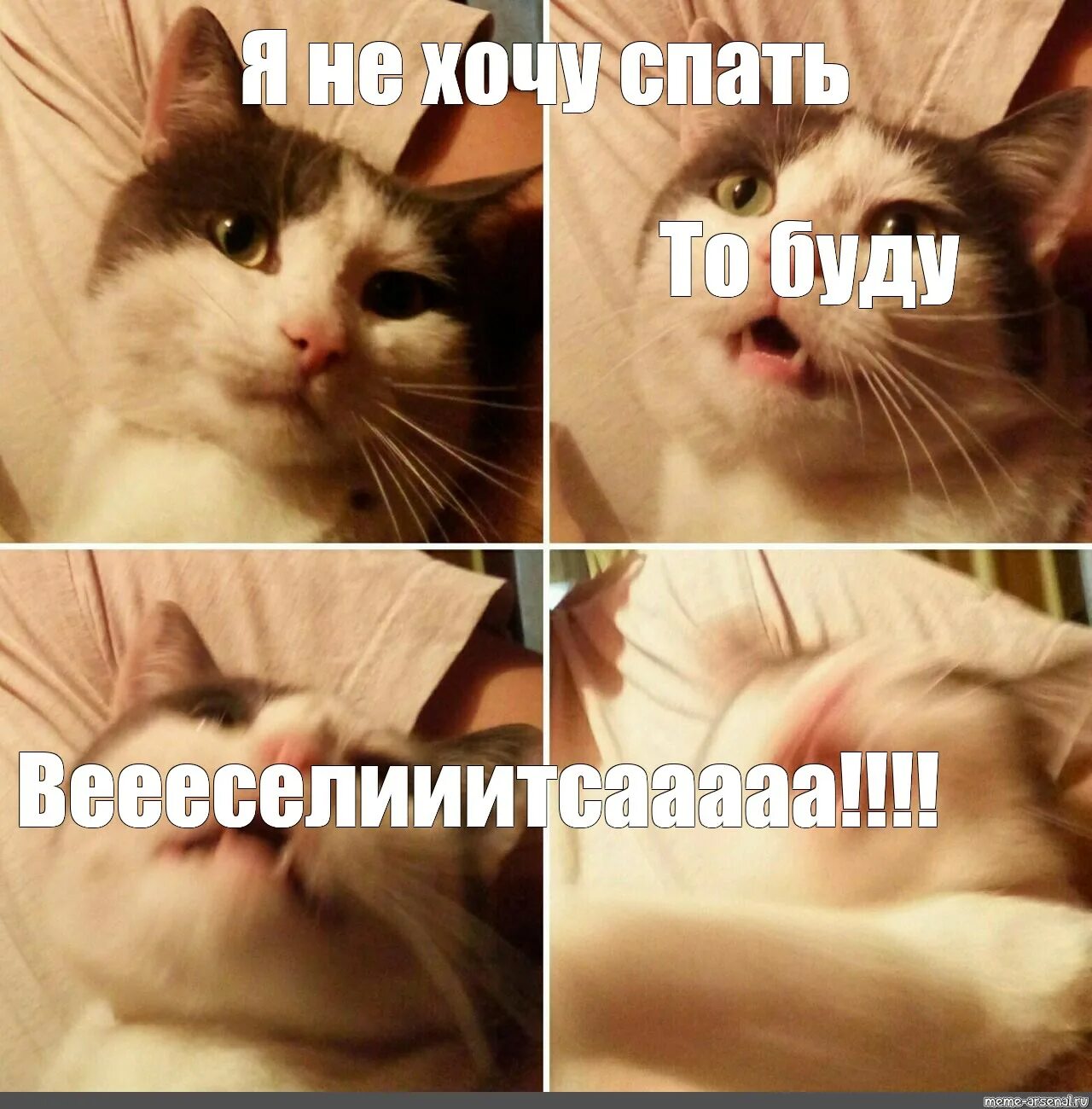 Не хочу не буду мем. Кот буду Мем. Мемы с котами хочу спать. Не желаю кот Мем. Мемы с котами я сплю.