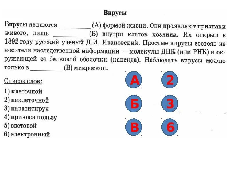 Впр 6 класс 2018 год ответы. ВПР биология 6 класс. ВПР биология 5 класс. ВПР по биологии 6 класс деление клетки. Рост клетки 6 класс биология ВПР.