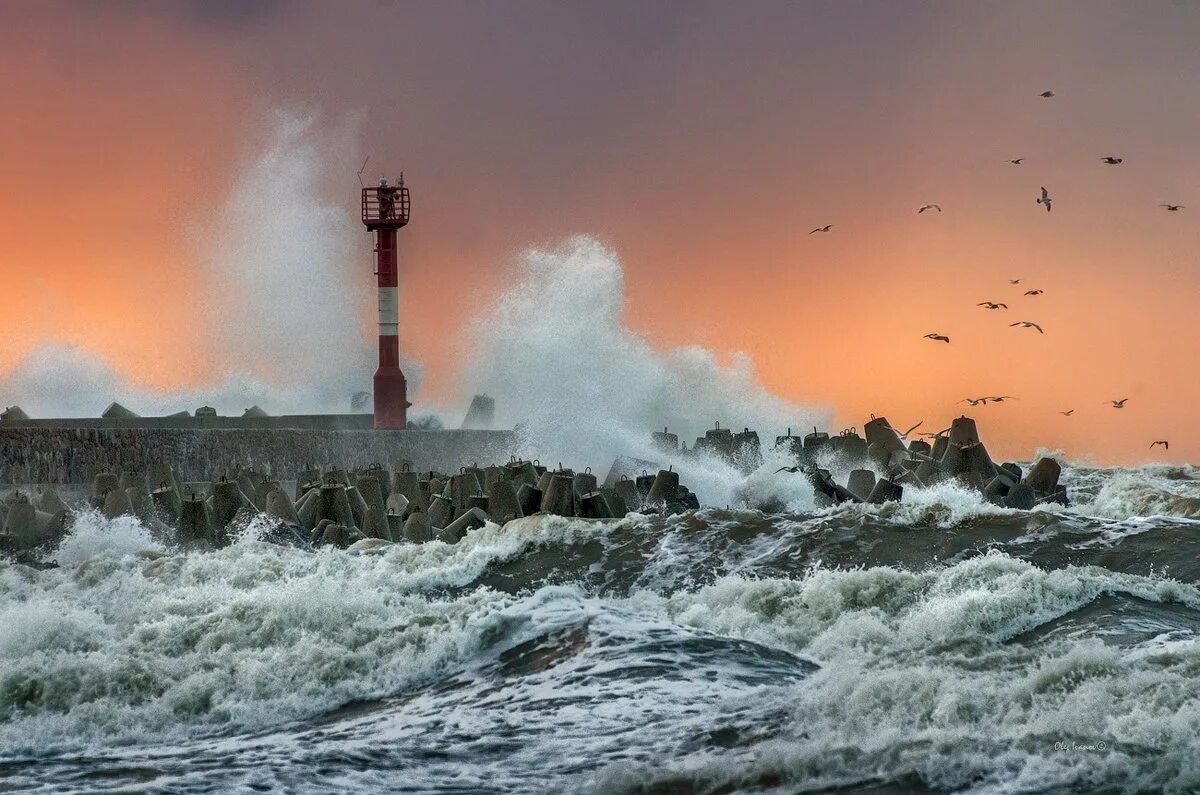 Балтийское море шторм. Шторм в Балтийске. Балтийское море штормит. Балтийск Маяк море. Страна штормов