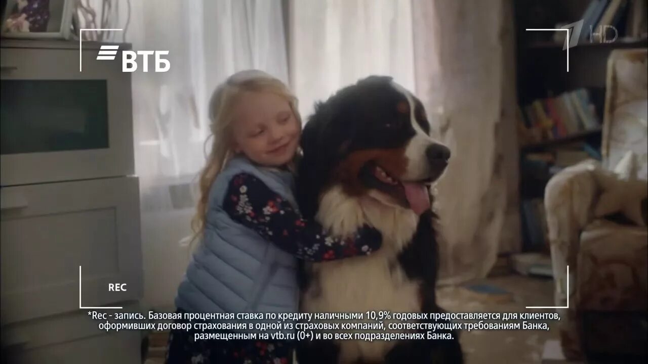 Реклама втб ситком про гавриловых. Собака втб. реклама втб с собакой. собака из рекламы втб.