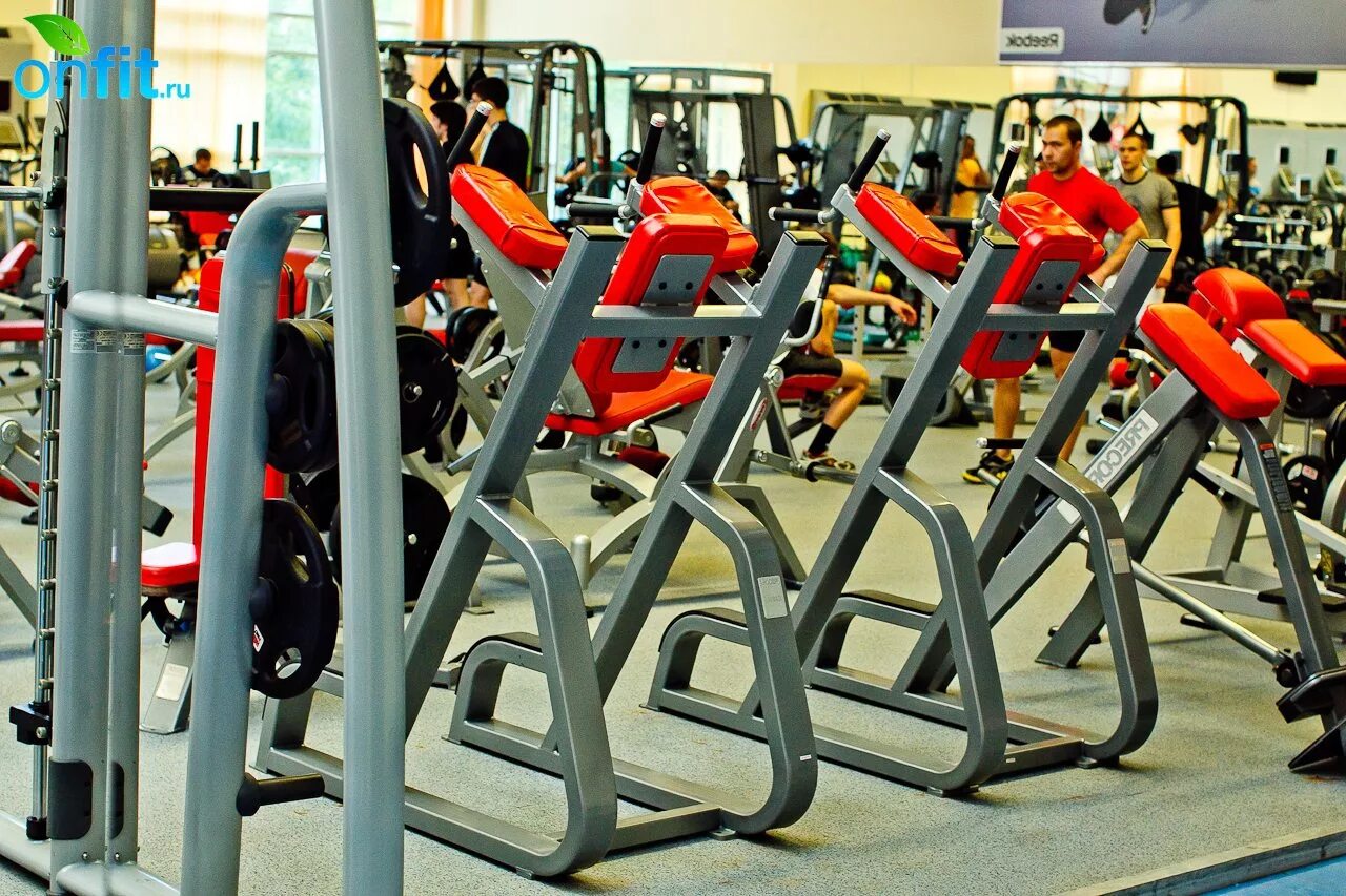 дон спорт октябрьское поле. дом спорта интернет магазин спортивных. дом спорта интернет магазин спортивных. эмблема спортивного магазина. беркут северск тренажерный зал.