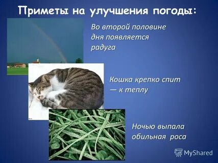 Как предсказывают погоду 2 класс окружающий