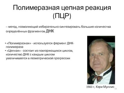Полимеразная цепная реакция позволяет