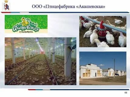 Акашево птицефабрика