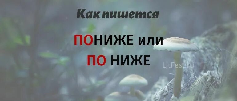 Нотный стан с добавочными линиями. Сверху дебил. Ниже написанному. Ниже написанному. Линии нотного стана.