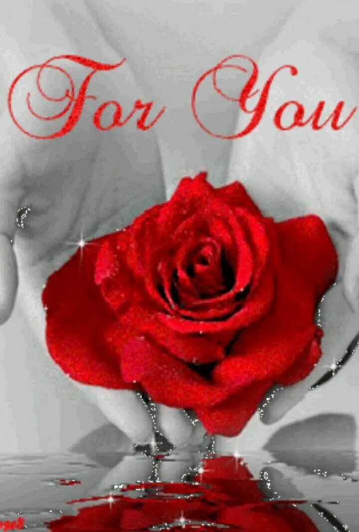 I got you flowers lovejsan. This flower is for you. All flowers for you. Гифка розы. Розы на заставку телефона.