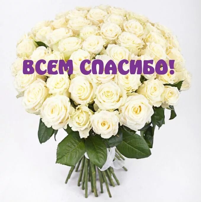 Стихи благодарности за поздравления. Я говорю спасибо небесам. Спасибо друг. Спасибо большое от всей души. Открытки с благодарностью спасибо.