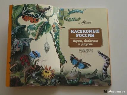 Книжные насекомые