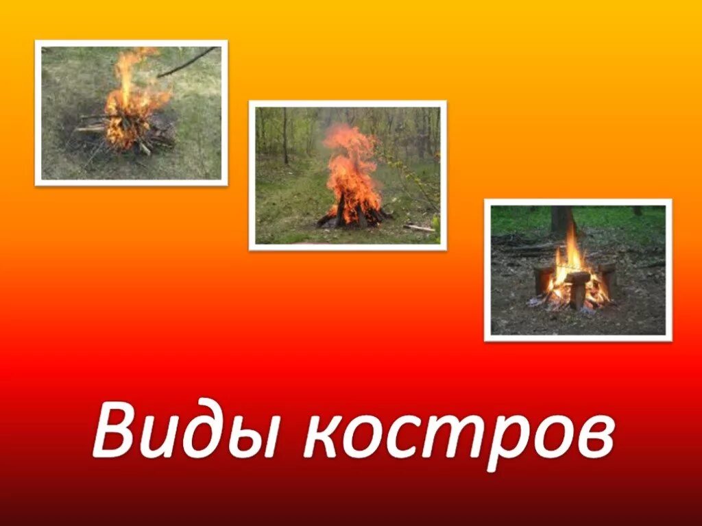 Костром проект