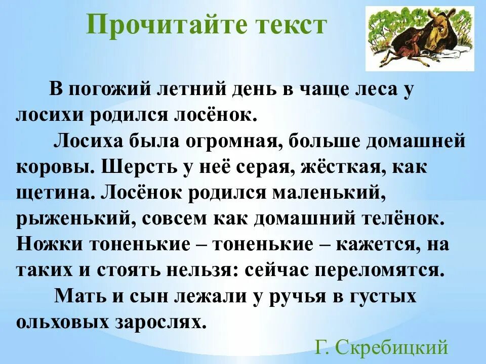 Изложение лес источник жизни. Спасенный сад изложение 4 класс. проделки белки изложение 4 класс. изложение зинька выручила 4 класс. изложение штора 4 класс.