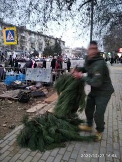 Елочный базар севастополь